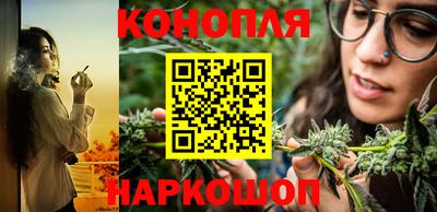 индика Мариинск
