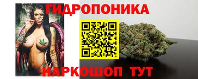 ешки Моздок