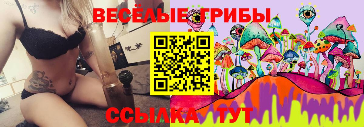 Псилоцибиновые грибы ЛСД  Вход с VPN  Шали  Псилоцибиновые грибы GOLDEN TEACHER 