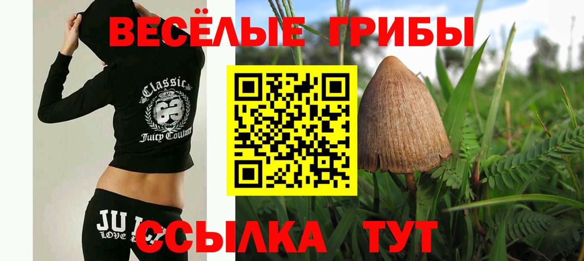 Галлюциногенные грибы Psilocybine cubensis Шали