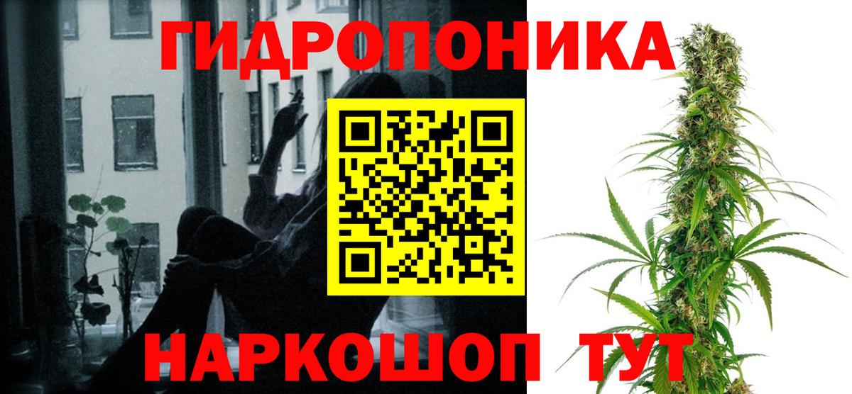 Бошки марихуана Amnesia Шали